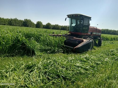 844 Fabens Island Road, Fabens, TX, 79838 | Card Image