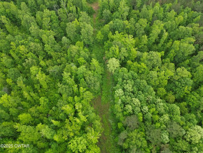 0 Buggy Branch Ln, Home with 0 bedrooms, 0 bathrooms and null parking in Cedar Grove TN | Image 11