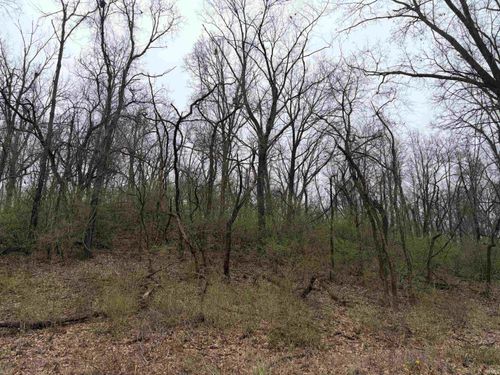 0000 Berry Street, Middlebury, IN, 46540 | Card Image