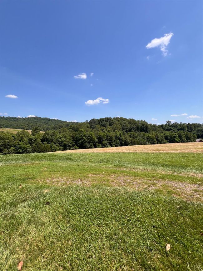 1410 Stevens Cove Rd, House other with 3 bedrooms, 2 bathrooms and null parking in LOVINGSTON VA | Image 27