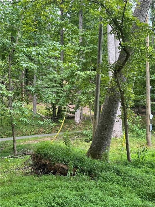 830 N Duffer Dr, Home with 0 bedrooms, 0 bathrooms and null parking in Jasper GA | Image 9