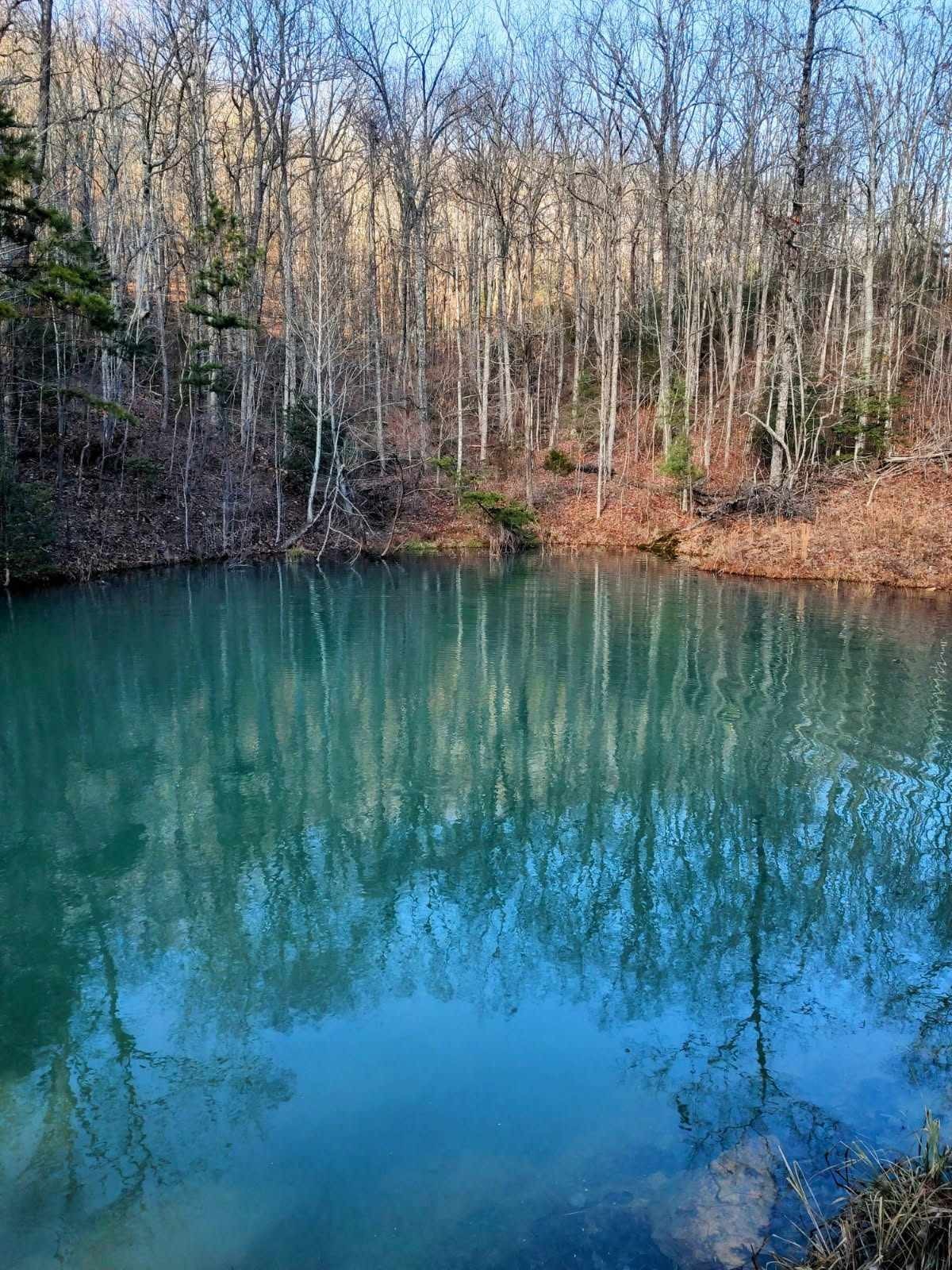 Land in Rockwood 5