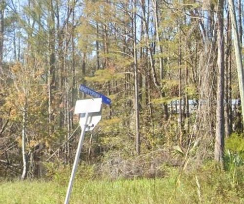 7659 Whipporwill Way, Perry, FL, 32347 | Card Image