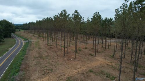 6.6 Acres Mount Nebo Rd, Falkville, AL, 35622 | Card Image