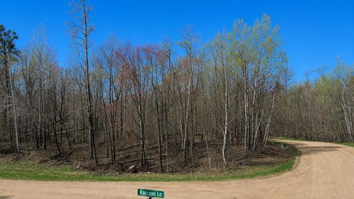 TBD Flower Trl, Pequot Lakes, MN, 56472 | Card Image