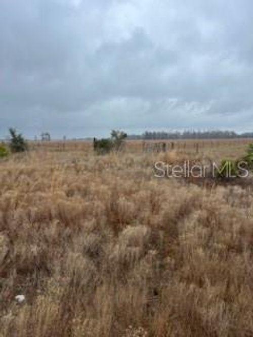 1137 Hopkins Ln, Zolfo Springs, FL, 33890-3824 | Card Image