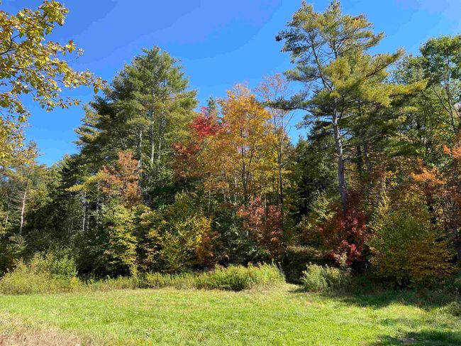 LOT-3 - 00 Vt Route 103 N, Home with 0 bedrooms, 0 bathrooms and null parking in Chester VT | Image 4