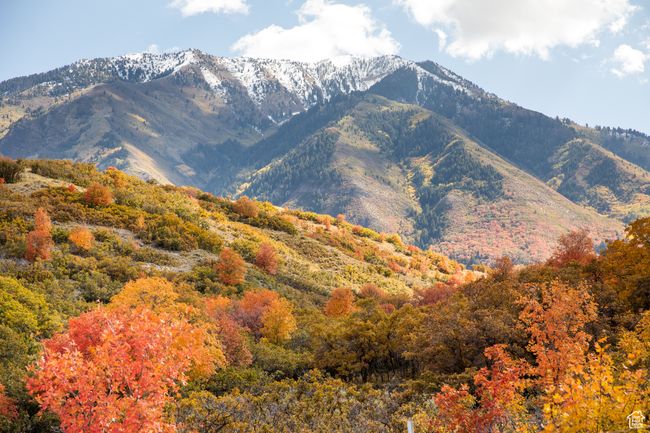 View of mountain backdrop featuring a heavily wooded area | Image 24