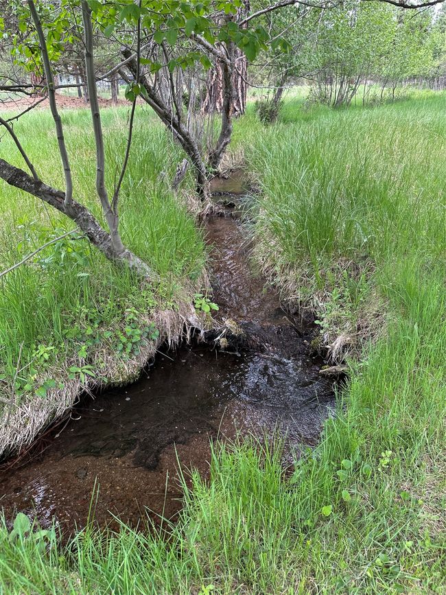Drew Creek meanders through the property: it's small but flows all year long! | Image 28