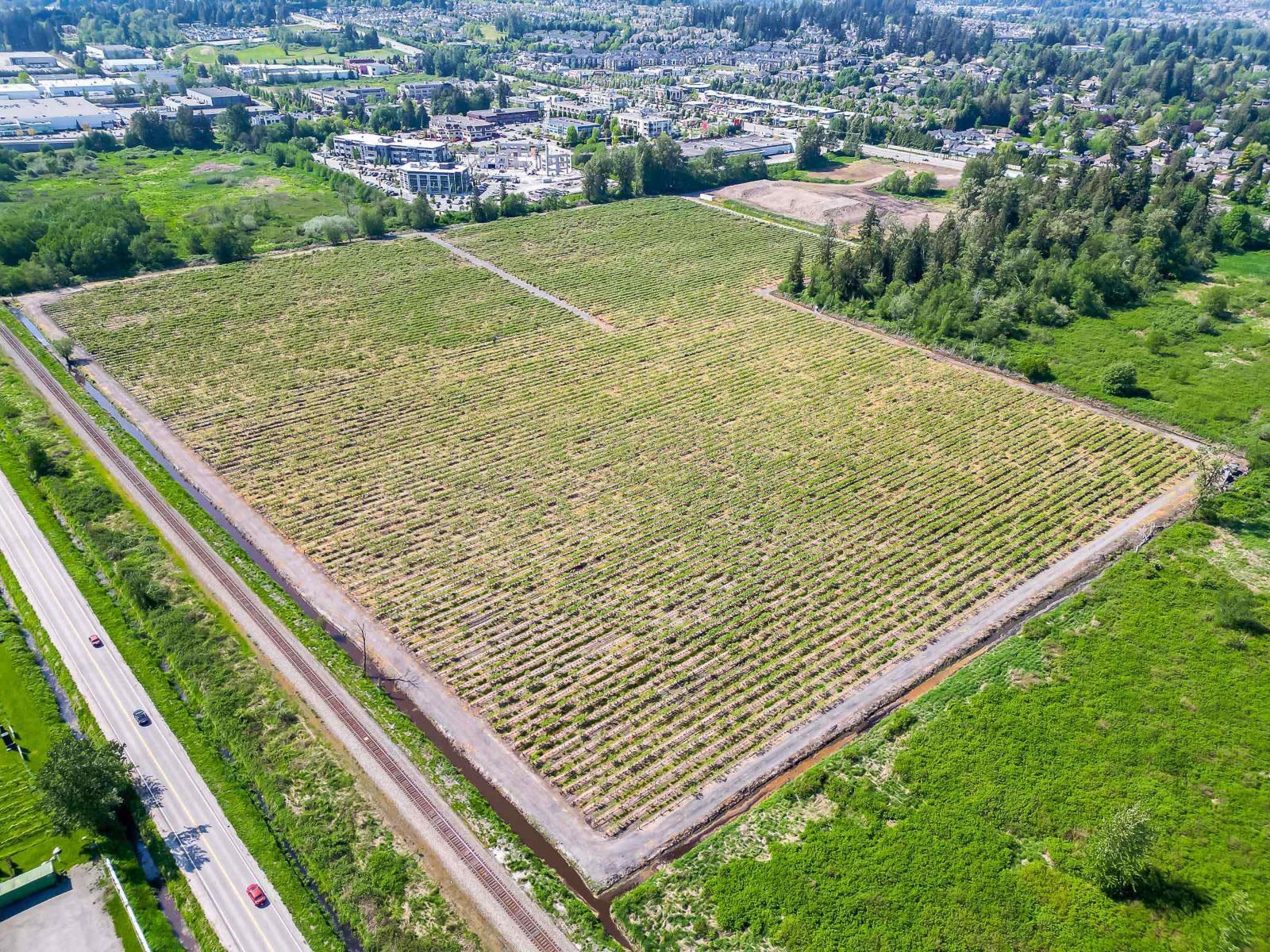 Land in Surrey 4