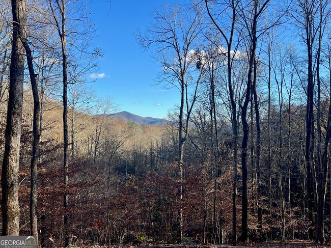 0 Shadow Mountain Dr, Home with 0 bedrooms, 0 bathrooms and null parking in Dillard GA | Image 6