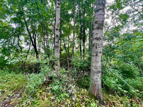VL Camburn Street, Stanton, MI, 48888 | Card Image