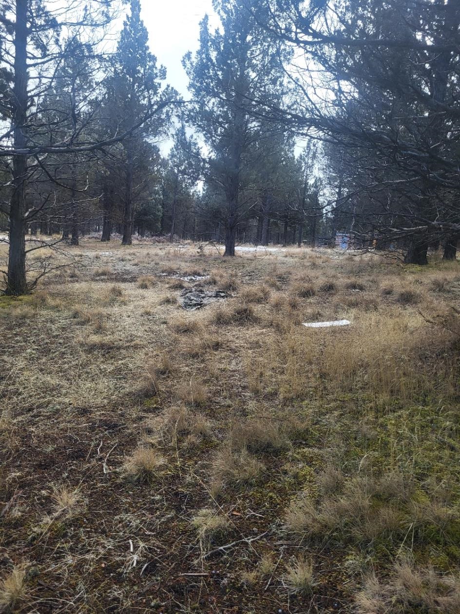 Land in Dorris 4