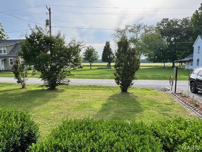 View of grassy yard | Image 27