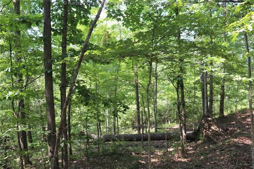 3 Walker Ridge Road, Walton, WV, 25286 | Card Image