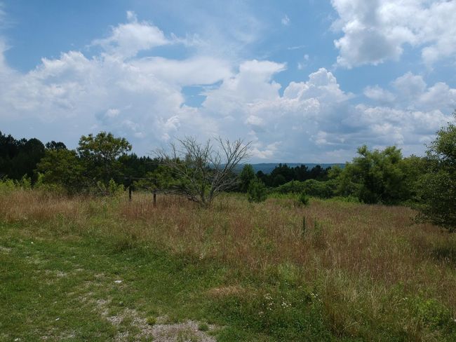 5199 Burkett Chapel Rd, Home with 4 bedrooms, 2 bathrooms and null parking in Whitwell TN | Image 25