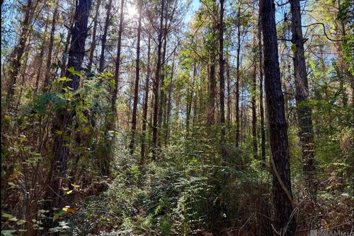 25 Bobcat Trl, Amite, LA, 70422-7520 | Card Image
