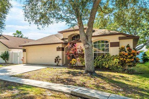 10145 Somersby Dr, RIVERVIEW, FL, 33578-8331 | Card Image