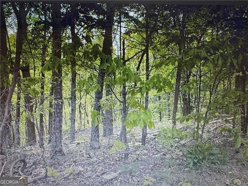 1358 Hunter Dr, Ranger, GA, 30734-7828 | Card Image