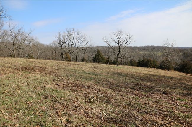 57 Sugar Creek Road, Home with 0 bedrooms, 0 bathrooms and null parking in Washburn MO | Image 22