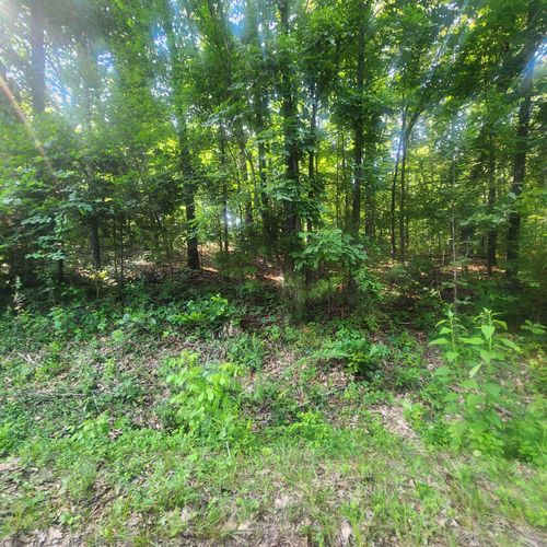 L-25 B-7 Navajo Trace, Cherokee Village, AR, 72529 | Card Image
