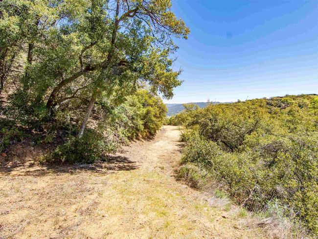 17 Bobcat Trl, Home with 0 bedrooms, 0 bathrooms and null parking in Santa Ysabel CA | Image 7