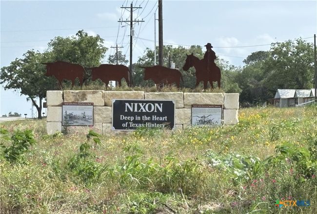 Nixon sign | Image 31