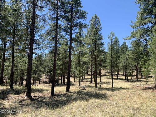 2343 E Del Rae Dr, Flagstaff, AZ, 86005-2764 | Card Image