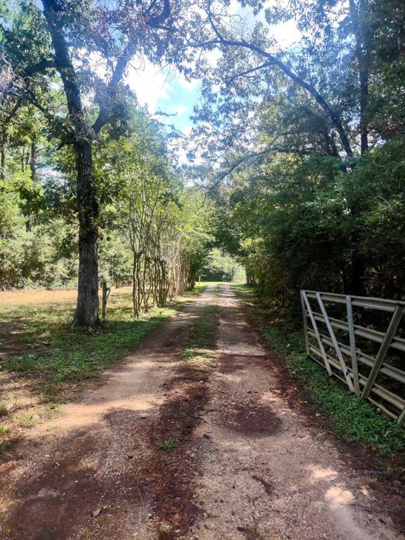 Lone Star Rd, Navasota, TX 77868