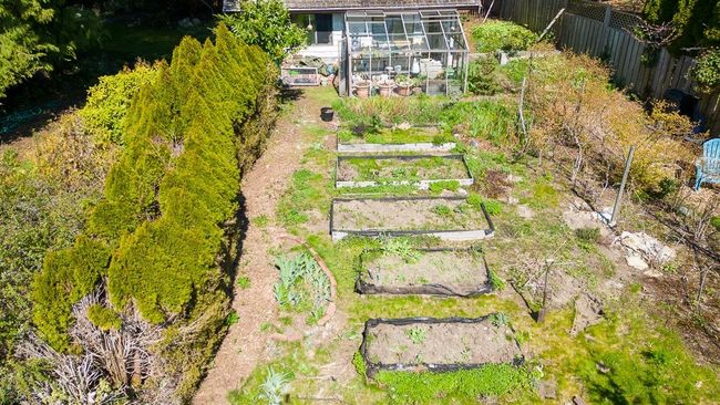 View of yard with fence and a garden | Image 37