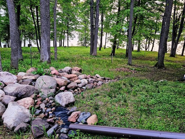 The north side yard.jpg | Image 32