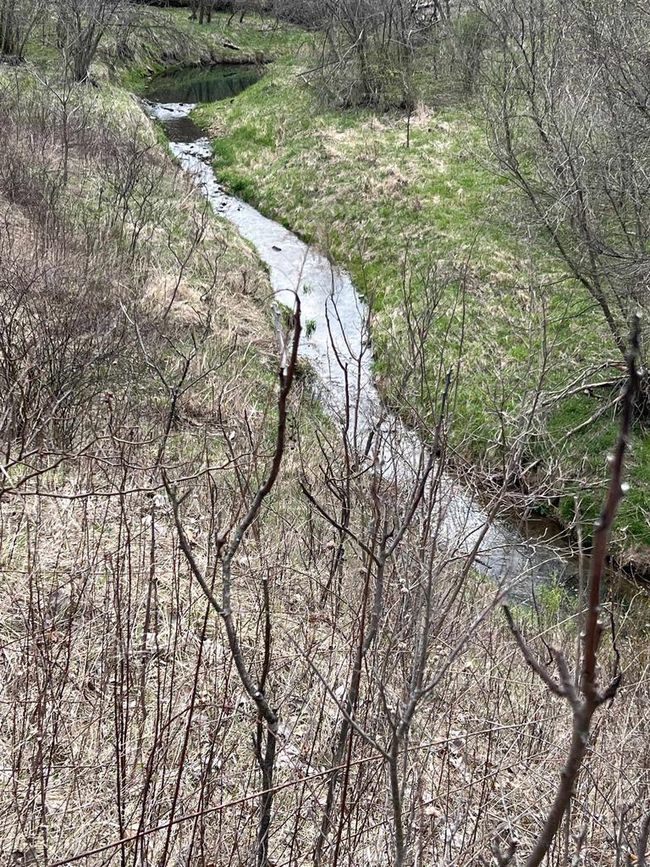71 +/- Acres Scenic View Road, Home with 0 bedrooms, 0 bathrooms and null parking in Seneca WI | Image 32