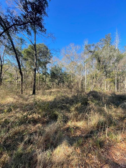 00 N Highway 17, Awendaw, SC, 29429 | Card Image