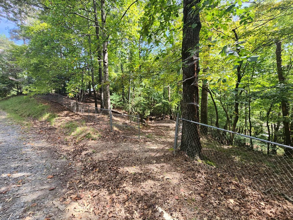 Land in Ellijay 3