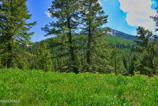 9380 E Kessler View Ln, Home with 0 bedrooms, 0 bathrooms and null parking in Brighton UT | Image 10