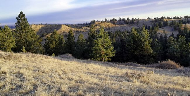 SC-25 - TBD Lone Rock Canyon Lane, Home with 0 bedrooms, 0 bathrooms and null parking in Hysham MT | Image 17