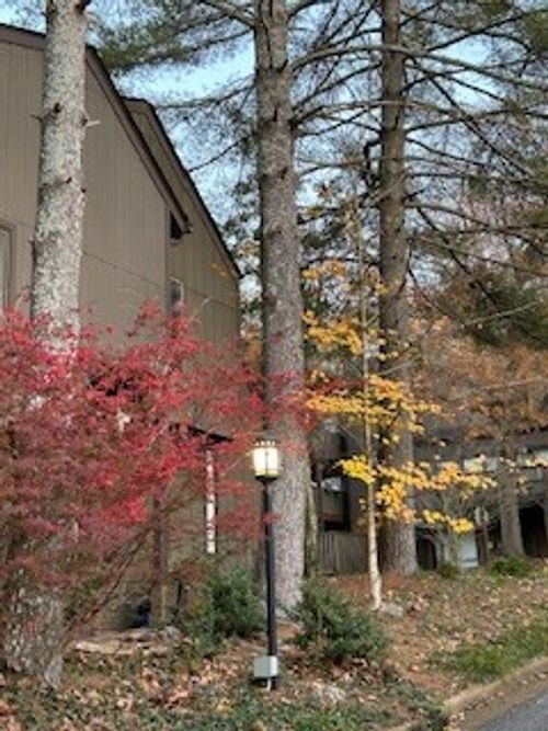 101 Holly Frst, Nashville, TN, 37221-2226 | Card Image