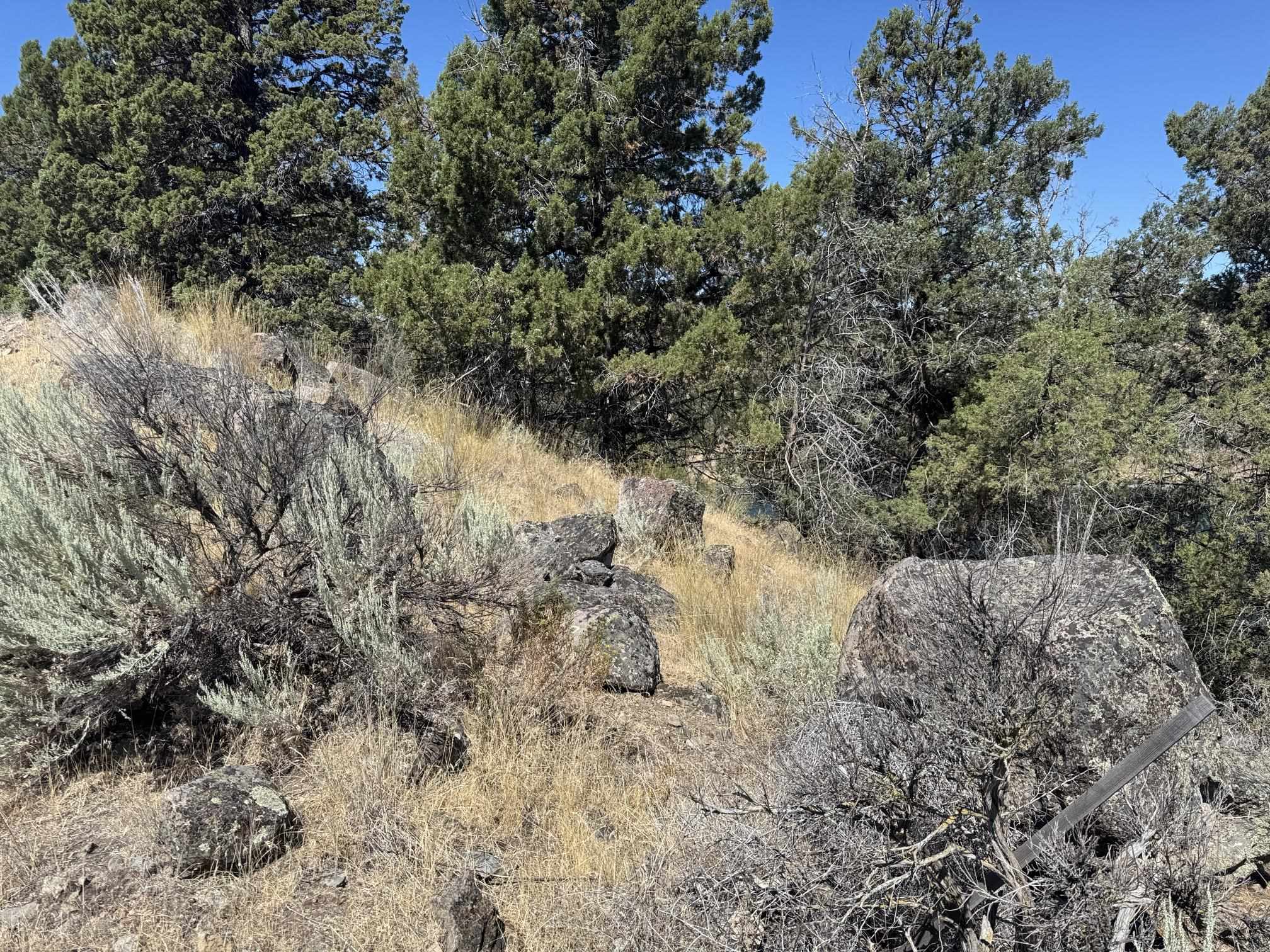 Land in Weed 3