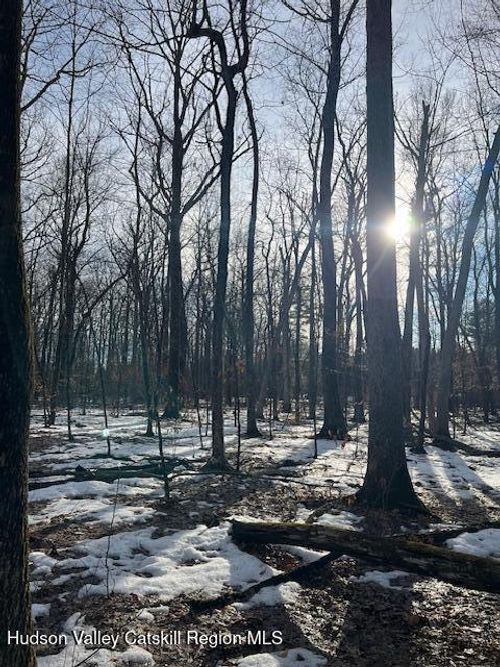 L21.2 Fern Hill Road, Ghent, NY, 12075 | Card Image
