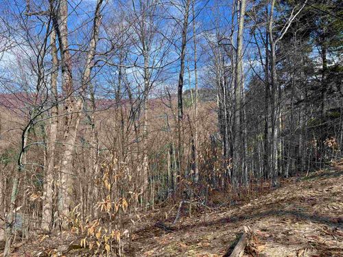 2-47 E Ash Rd, Plymouth, VT, 05056-4450 | Card Image