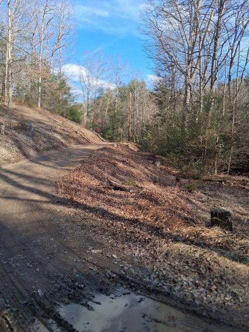 TBD Gullion Fork Road, Wytheville, WV, 24832 | Card Image