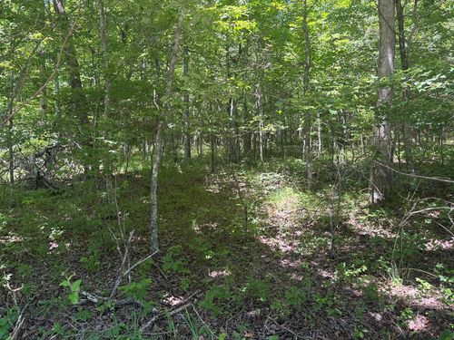 Lot 251 Buck Cir, Spencer, TN, 38585-4178 | Card Image