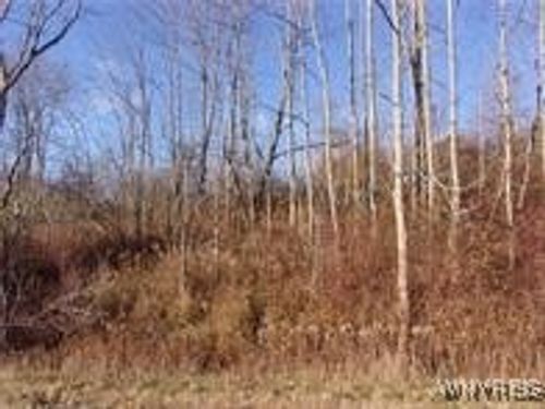 5338 Bryant Hill Rd, Ellicottville, NY, 14731-9737 | Card Image