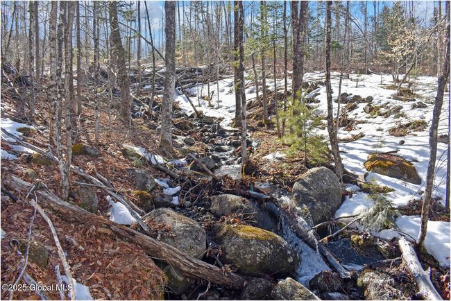 48 Durkin Rd, Home with 0 bedrooms, 0 bathrooms and null parking in North Creek NY | Image 38