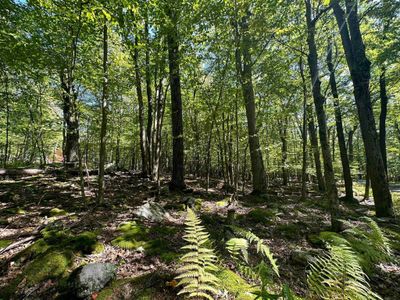 LOT-50-ANDAMP-51-BERN-SEC - Lots 50 &amp; 51 Beebalm Court, Home with 0 bedrooms, 0 bathrooms and null parking in Terra Alta WV | Image 3