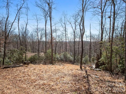 2-0 Alpen Rose Way, Mills River, NC, 28759 | Card Image