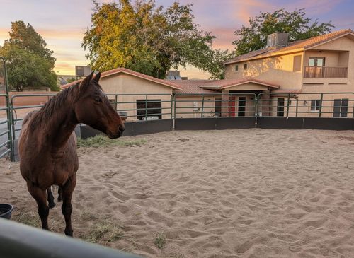 1202 N 1100 W, St George, UT, 84770-4807 | Card Image