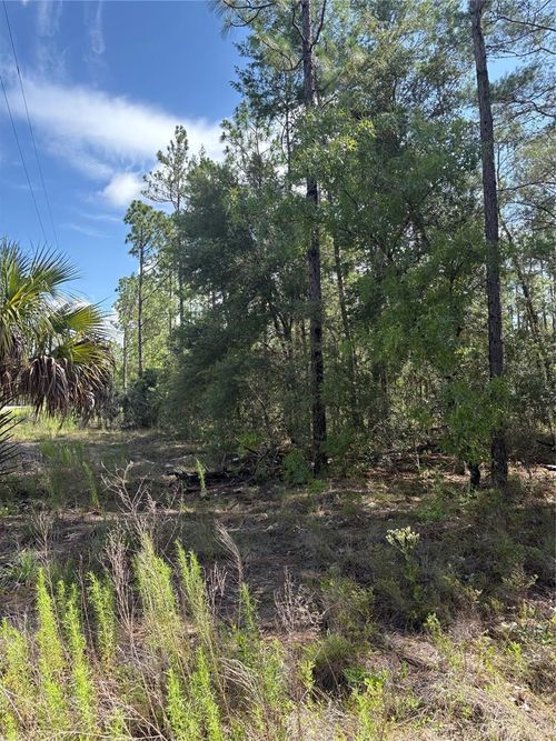 TBA Nw Redwing Rd, Dunnellon, FL, 34431 | Card Image