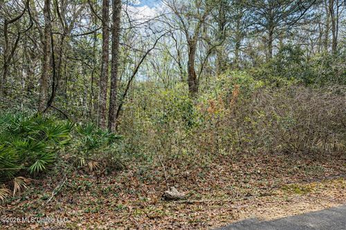 Lot 4 Live Oak Ave, Ocean Springs, MS, 39564 | Card Image