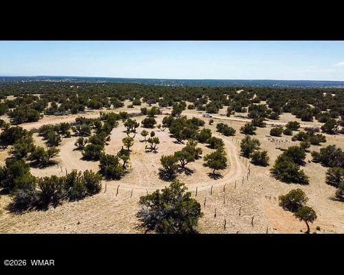 17 N7337, St Johns, AZ, 85936 | Card Image
